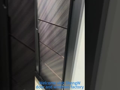 Aluminum+Glass Door 
