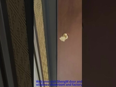 Aluminum Front Pivot Door