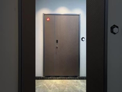 Aluminum Entrance Door 