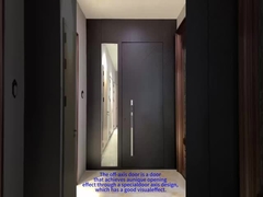 Aluminum Front Pivot Door