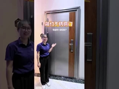 Aluminum new item doors 