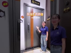 ShengW new item aluminum door